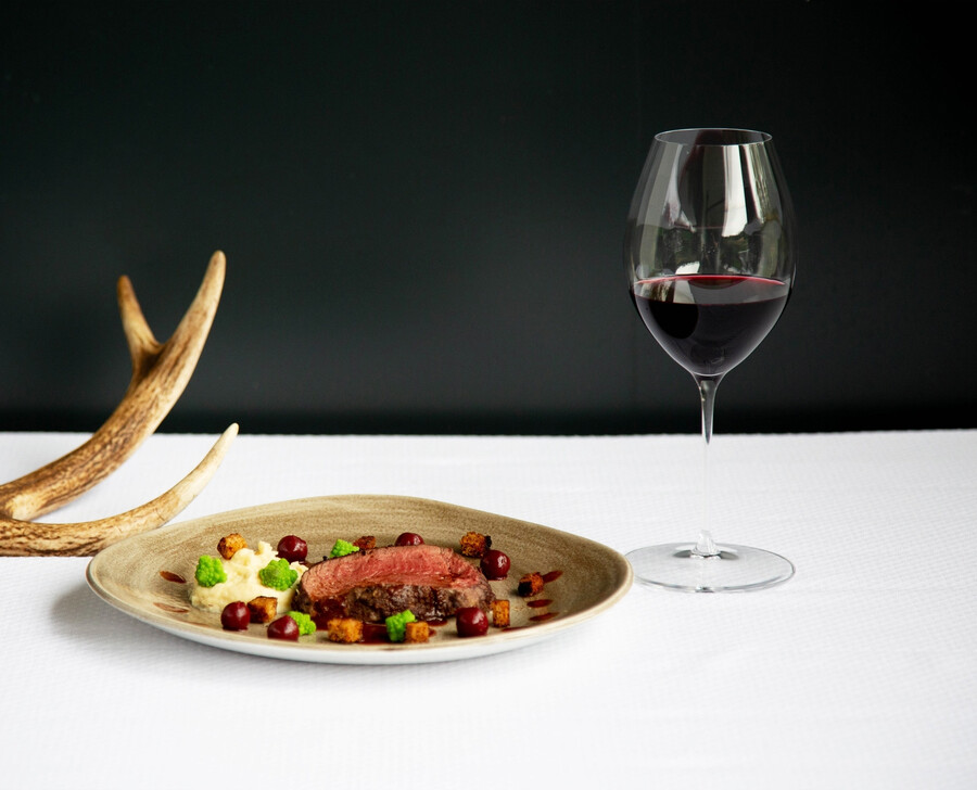 riedel veritas syrah du vieux monde