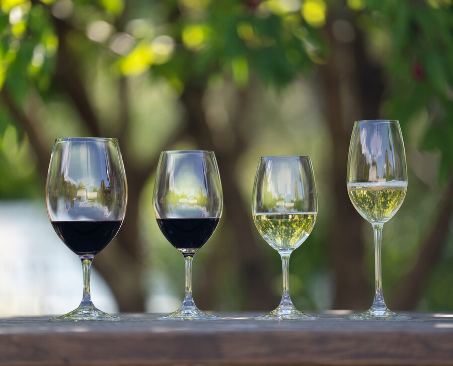 riedel ouverture verre à vin blancmagnumchampagne
