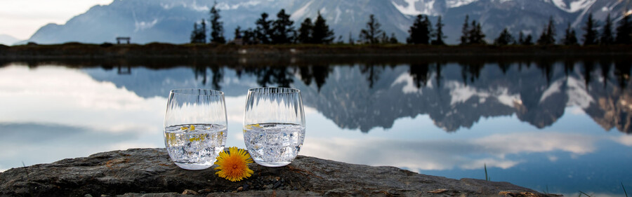 coffret à rhum riedel