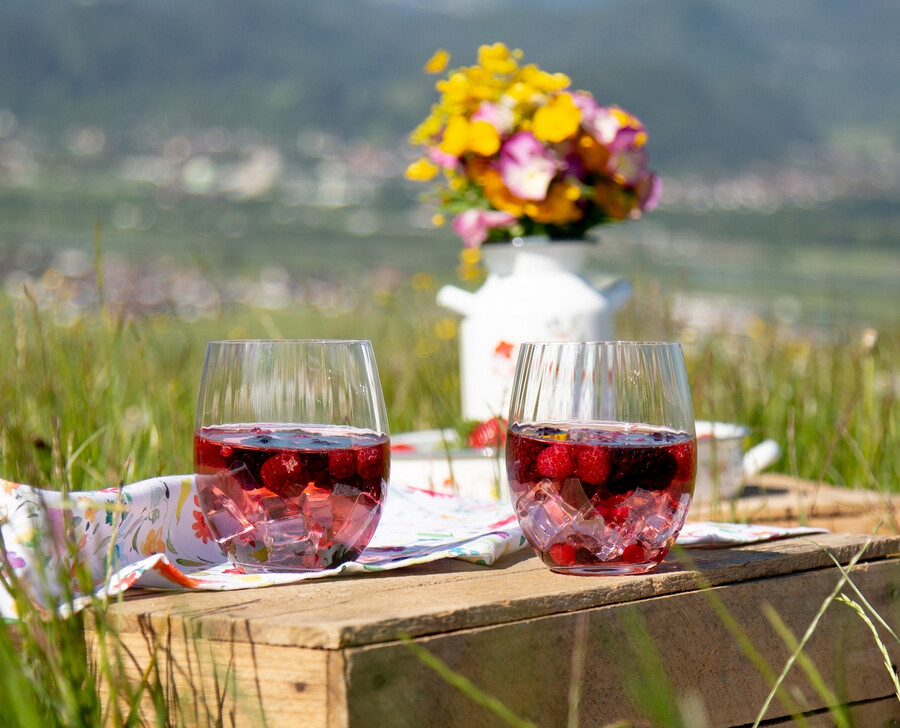 ensemble de mélange de toniques riedel