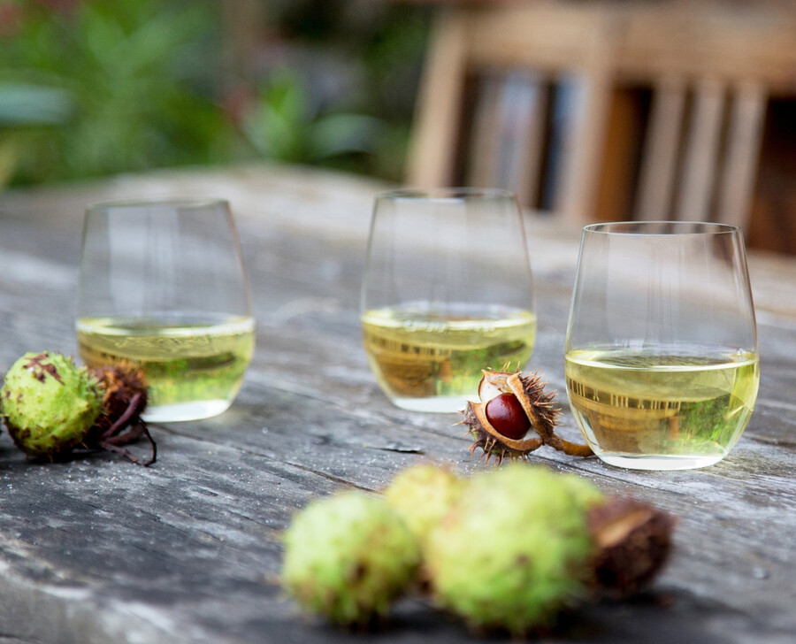 riedel le verre à vin o viognierchardonnay