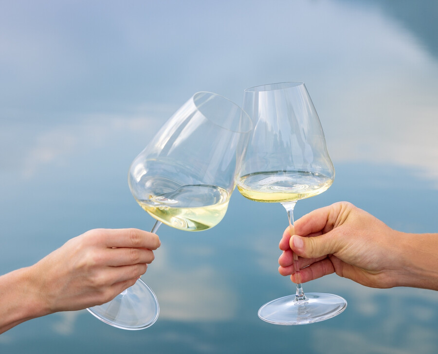 riedel winewings sauvignon blanc