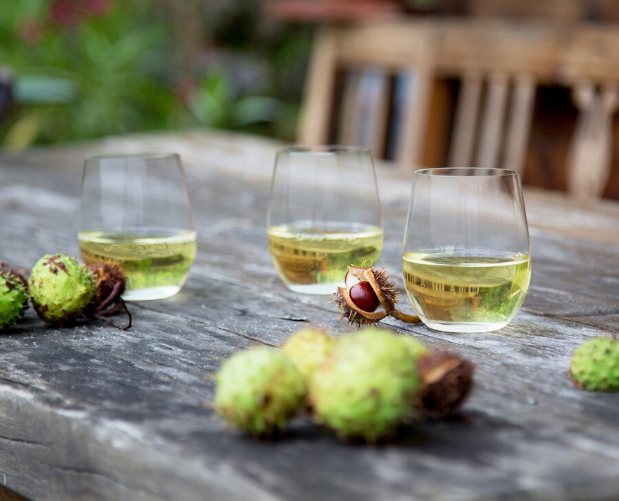 riedel le verre à vin o viognierchardonnay